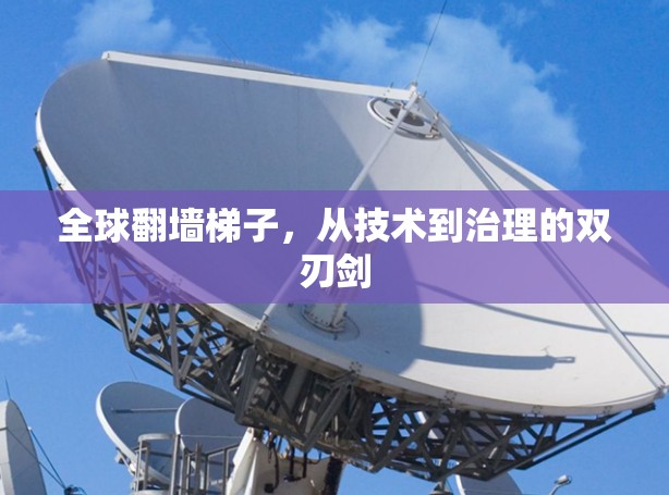 全球翻墙梯子，从技术到治理的双刃剑