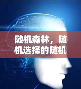 随机森林,随机选择的随机选择 随机森林,随机选择的随机选择