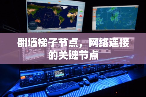 翻墙梯子节点,网络连接的关键节点 翻墙梯子节点,网络连接的关键节点