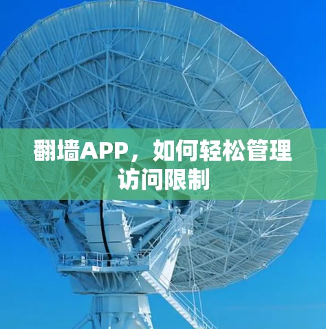 翻墙APP，如何轻松管理访问限制