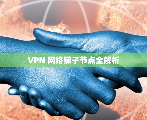 VPN 网络梯子节点全解析 VPN 网络梯子节点全解析