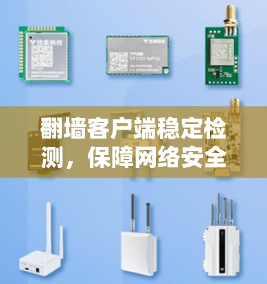 翻墙客户端稳定检测,保障网络安全的新途径 翻墙客户端稳定检测,保障网络安全的新途径