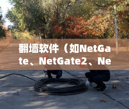 翻墙软件(如NetGate、NetGate2、NetGate3)的更新记录通常包括版本号、更新时间和功能调整。以下是一个结构化的回答,涵盖常见版本的更新情况 翻墙软件(如NetGate、NetGate2、NetGate3)的更新记录通常包括版本号、更新时间和功能调整。以下是一个结构化的回答,涵盖常见版本的更新情况