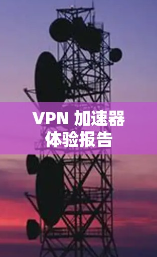 VPN 加速器体验报告