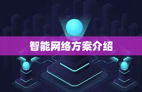 智能网络方案介绍