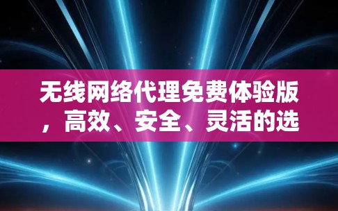 无线网络代理免费体验版，高效、安全、灵活的选择