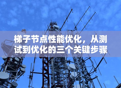 梯子节点性能优化,从测试到优化的三个关键步骤 梯子节点性能优化,从测试到优化的三个关键步骤