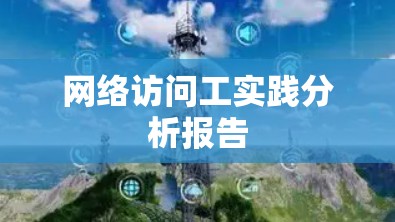 网络访问工实践分析报告 网络访问工实践分析报告