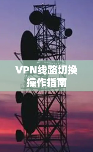 VPN线路切换操作指南 VPN线路切换操作指南