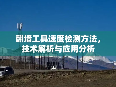翻墙工具速度检测方法，技术解析与应用分析