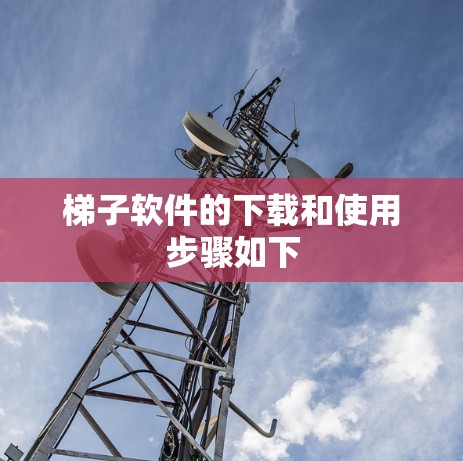梯子软件的下载和使用步骤如下 梯子软件的下载和使用步骤如下