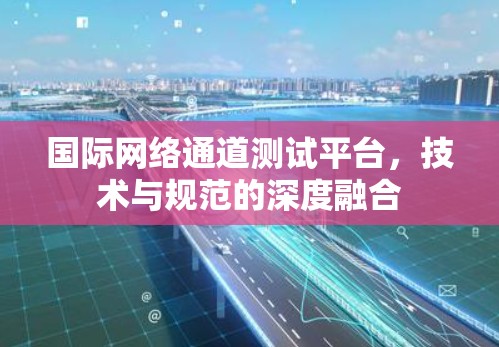 国际网络通道测试平台,技术与规范的深度融合