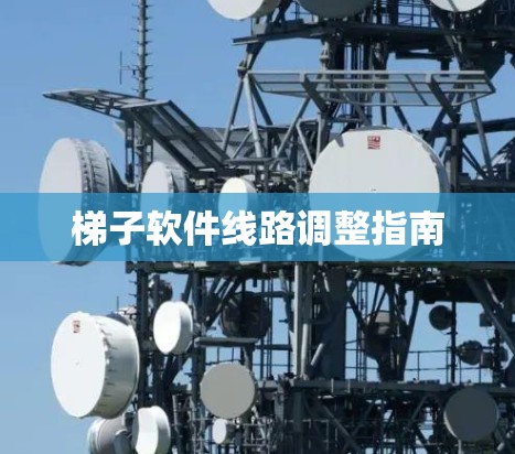 梯子软件线路调整指南