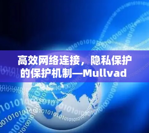 高效网络连接,隐私保护的保护机制—Mullvad VPN替代方案 高效网络连接,隐私保护的保护机制—Mullvad VPN替代方案