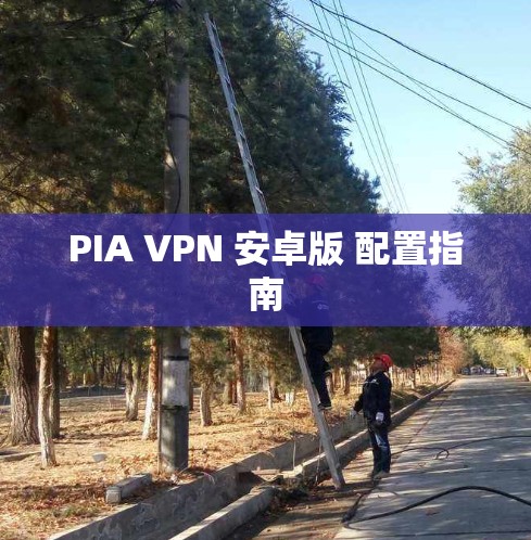 PIA VPN 安卓版 配置指南 PIA VPN 安卓版 配置指南