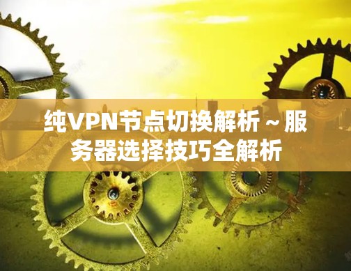 纯VPN节点切换解析~服务器选择技巧全解析 纯VPN节点切换解析~服务器选择技巧全解析