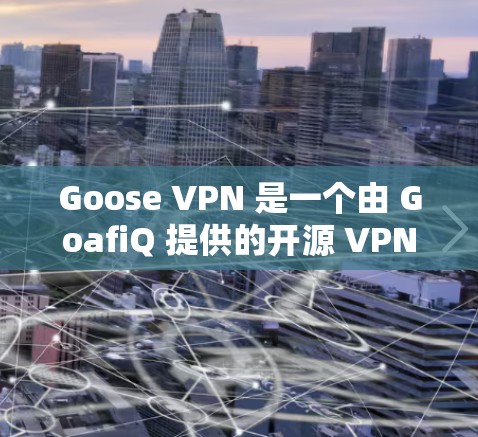 Goose VPN 是一个由 GoafiQ 提供的开源 VPN 服务，旨在提供安全、可靠的VPN连接。以下是关于 Goose VPN 的详细信息