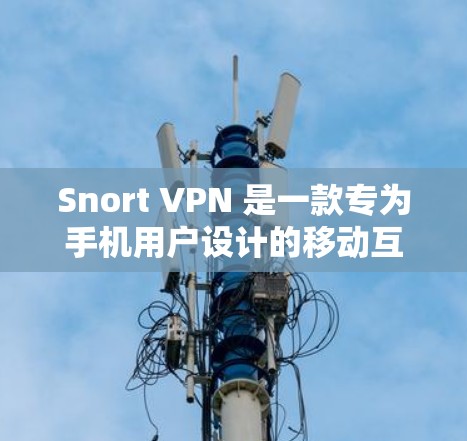 Snort VPN 是一款专为手机用户设计的移动互联网VPN软件，以其简洁的界面和全面的功能吸引着用户。以下是对其的评测