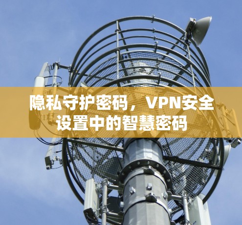 隐私守护密码,VPN安全设置中的智慧密码 隐私守护密码,VPN安全设置中的智慧密码