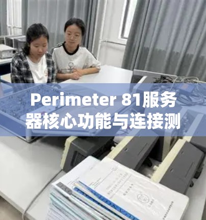 Perimeter 81服务器核心功能与连接测试回顾 Perimeter 81服务器核心功能与连接测试回顾