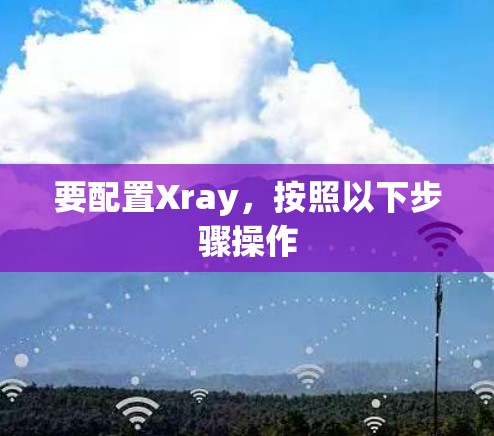 要配置Xray,按照以下步骤操作 要配置Xray,按照以下步骤操作