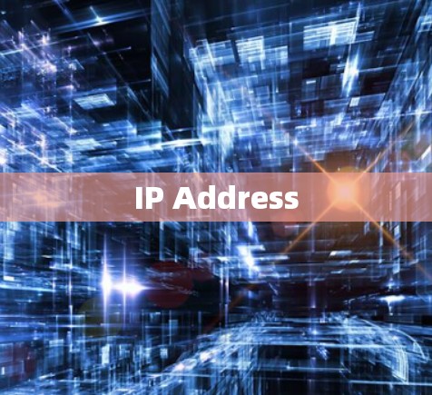 IP Address