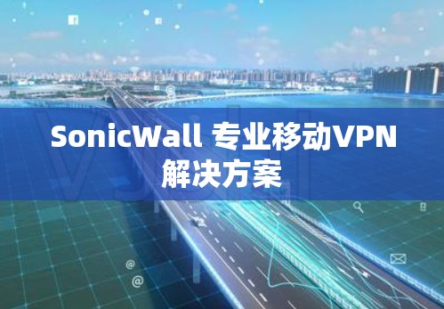 SonicWall 专业移动VPN解决方案 SonicWall 专业移动VPN解决方案