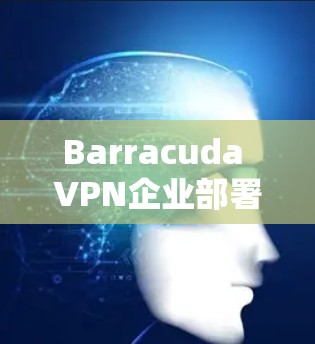 Barracuda VPN企业部署方案 Barracuda VPN企业部署方案