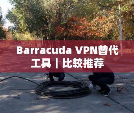 Barracuda VPN替代工具|比较推荐 Barracuda VPN替代工具|比较推荐