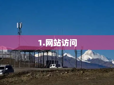 1.网站访问 1.网站访问
