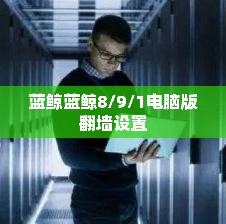 蓝鲸蓝鲸8/9/1电脑版翻墙设置