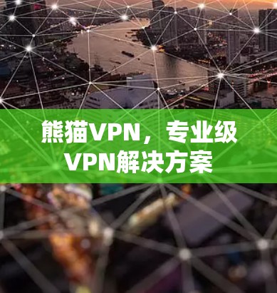熊猫VPN，专业级VPN解决方案