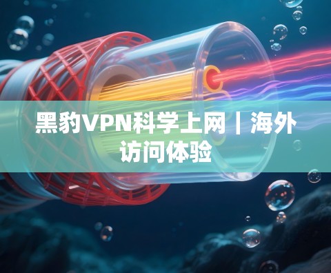 黑豹VPN科学上网|海外访问体验 黑豹VPN科学上网|海外访问体验