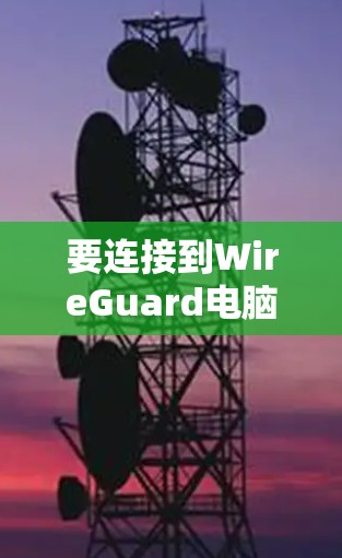 要连接到WireGuard电脑,可以采用以下几种方法,每种方法都有其优缺点和实施步骤,需注意安全问题和配置要求 要连接到WireGuard电脑,可以采用以下几种方法,每种方法都有其优缺点和实施步骤,需注意安全问题和配置要求