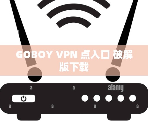 GOBOY VPN 点入口 破解版下载