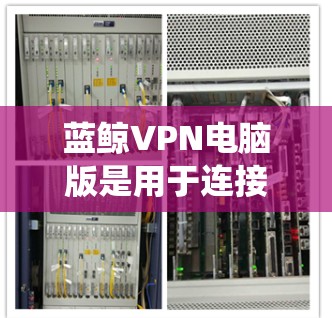 蓝鲸VPN电脑版是用于连接到网络服务器并在本地电脑上运行的工具。以下是系统性的步骤指南