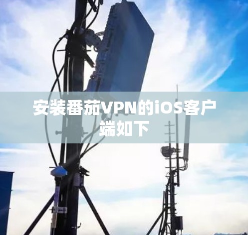 安装番茄VPN的iOS客户端如下 安装番茄VPN的iOS客户端如下