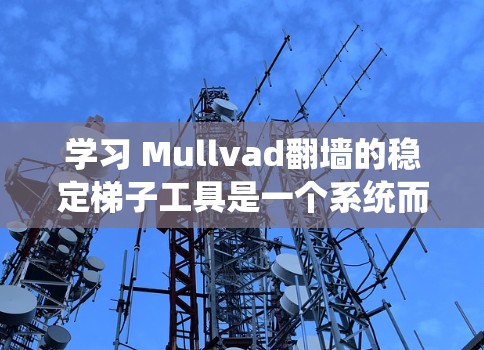 学习 Mullvad翻墙的稳定梯子工具是一个系统而持续的过程，涉及多个步骤和技能。以下是一个详细的指南，帮助您逐步掌握这一过程