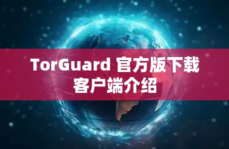 TorGuard 官方版下载客户端介绍 TorGuard 官方版下载客户端介绍