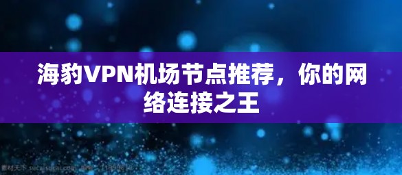 海豹VPN机场节点推荐，你的网络连接之王