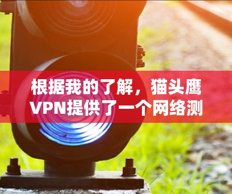 根据我的了解，猫头鹰VPN提供了一个网络测试服务，用于了解其内部网络的连接速度和稳定性。以下是对该服务的详细分析