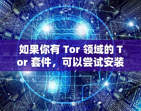 如果你有 Tor 领域的 Tor 套件，可以尝试安装并运行测试，以测量其性能。如果遇到任何问题，建议联系 Tor 部门寻求帮助