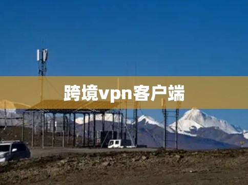 跨境<strong>VPN客户端</strong>