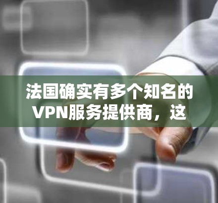 法国确实有多个知名的VPN服务提供商，这些服务致力于提供安全、可靠且价格较低的VPN解决方案。以下是法国的一些主要VPN服务