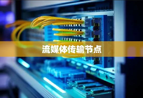 流媒体传输节点