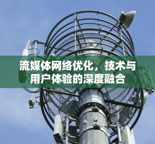流媒体网络优化，技术与用户体验的深度融合